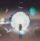 2150169794 (1)